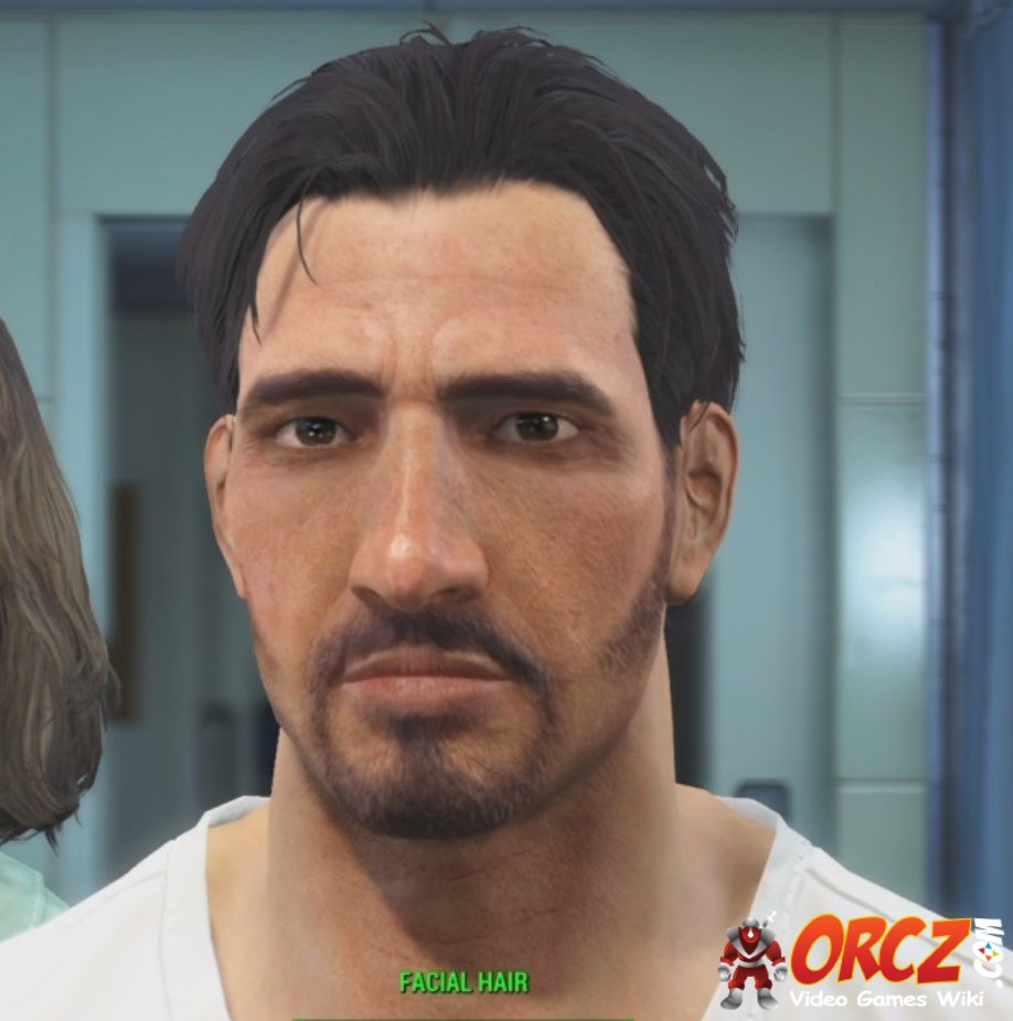 Fallout 4 Facial Hair Freerider The Video Games Wiki