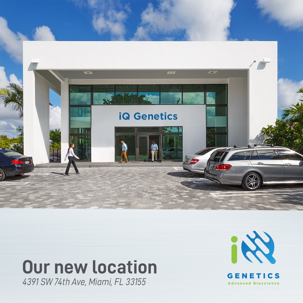 Sexing + PBFD iQBirdTesting