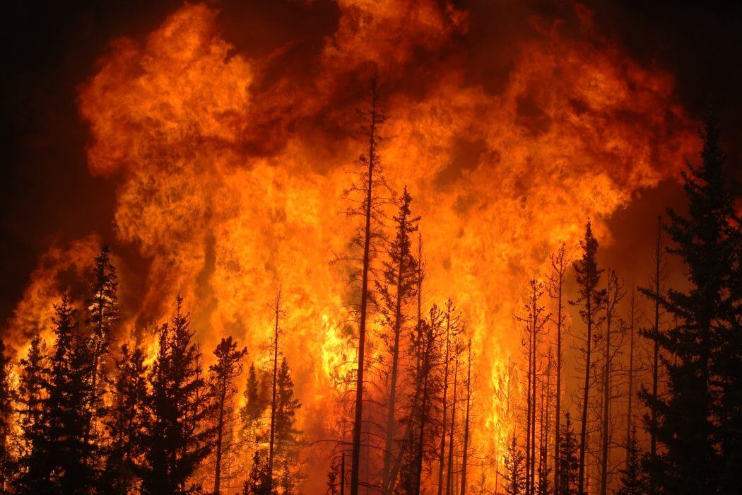 The South Fork Forest Camp saves Oregon money The Oregon Catalyst