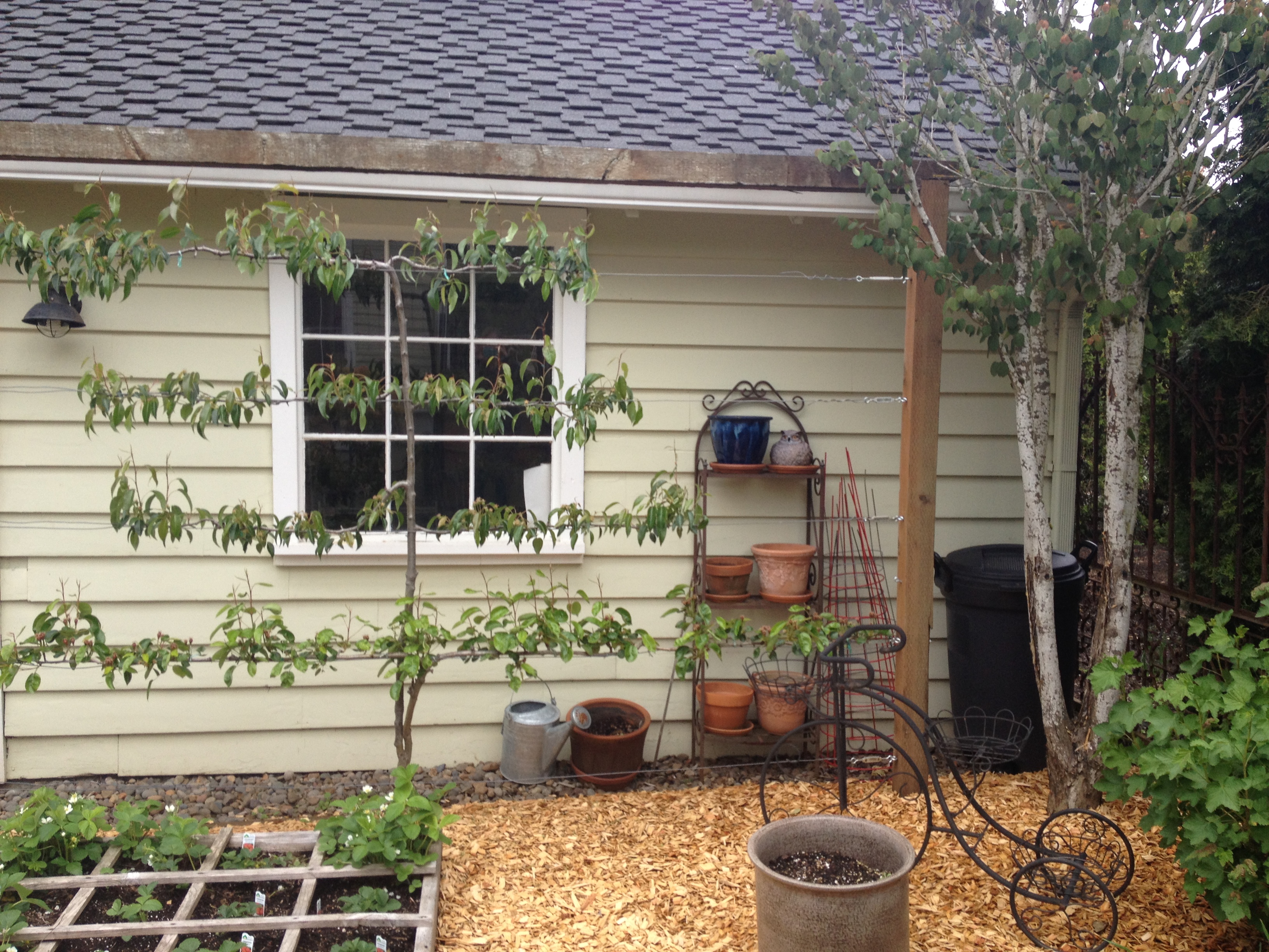 810 N Water Street Silverton Oregon Silverton oregon home for sale