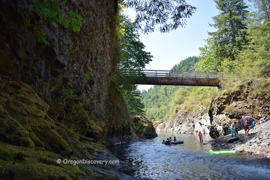 Footbridge Wilson River Coast Range Oregon Discovery