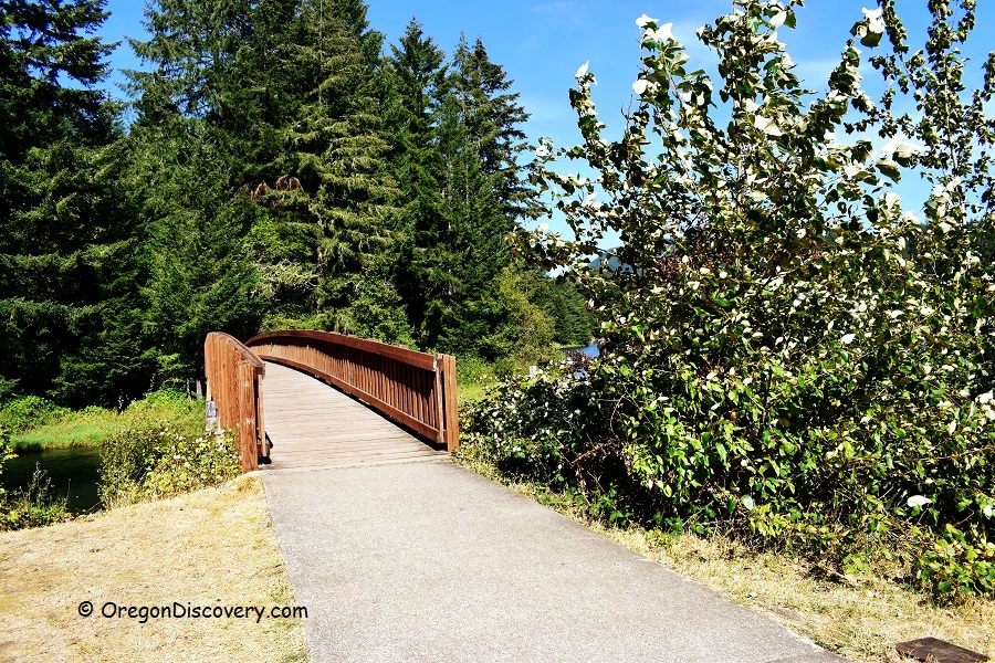 Foster Lake Lewis Creek Park Oregon Discovery