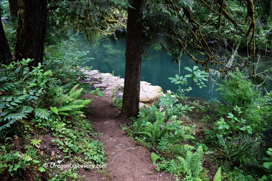 Molalla River DayUse Site 2 Molalla River Swimming Oregon Discovery