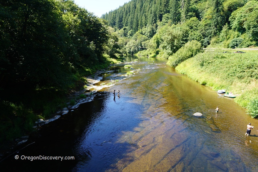 Alsea River Swimming & Crayfishing Oregon Coast Range Oregon Discovery