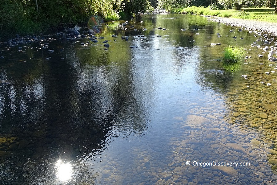 Scotts Mills Falls Butte Creek Marion County Park Oregon Discovery