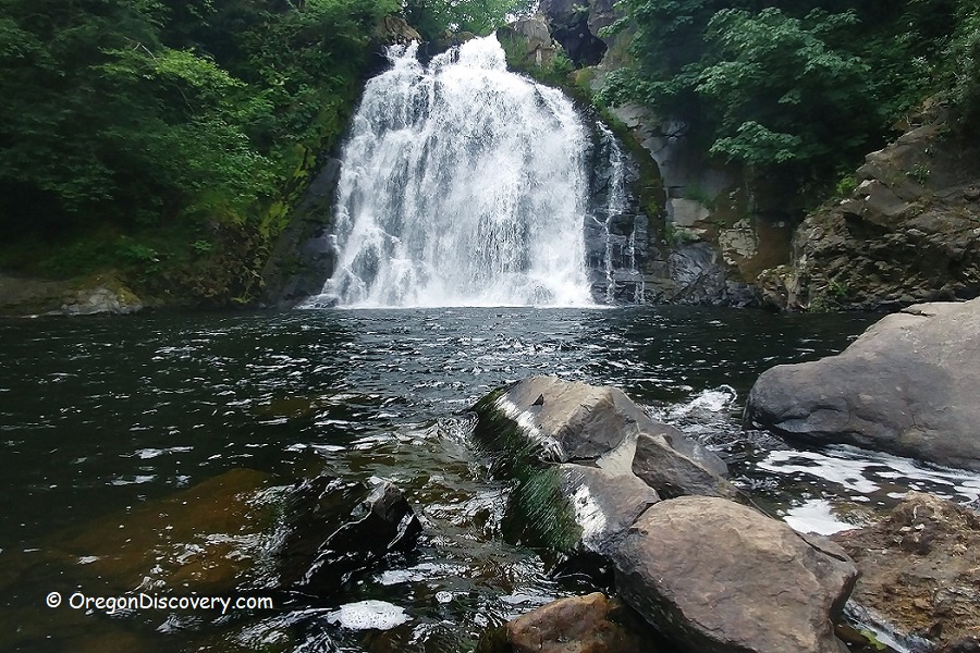 Youngs River Falls Tranquil Forested Destination near Astoria Oregon