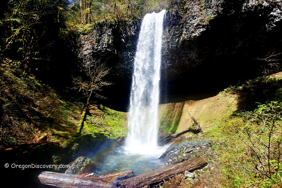 Shellburg Falls Exploring the Hidden Beauty of the Santiam State