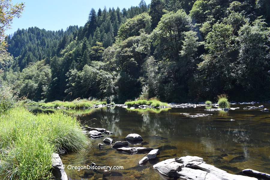 Siuslaw River Swimming Oregon Coast Range Oregon Discovery
