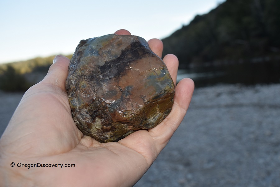 Chetco River Rockhounding Adventures on the Oregon Coast Oregon