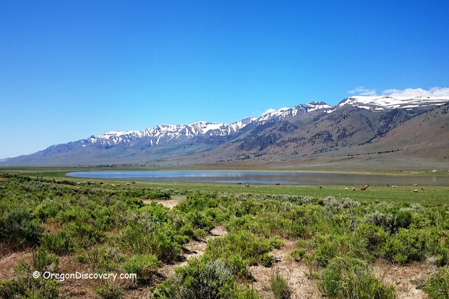 Alvord Desert Things to Do & See Eastern Oregon Oregon Discovery