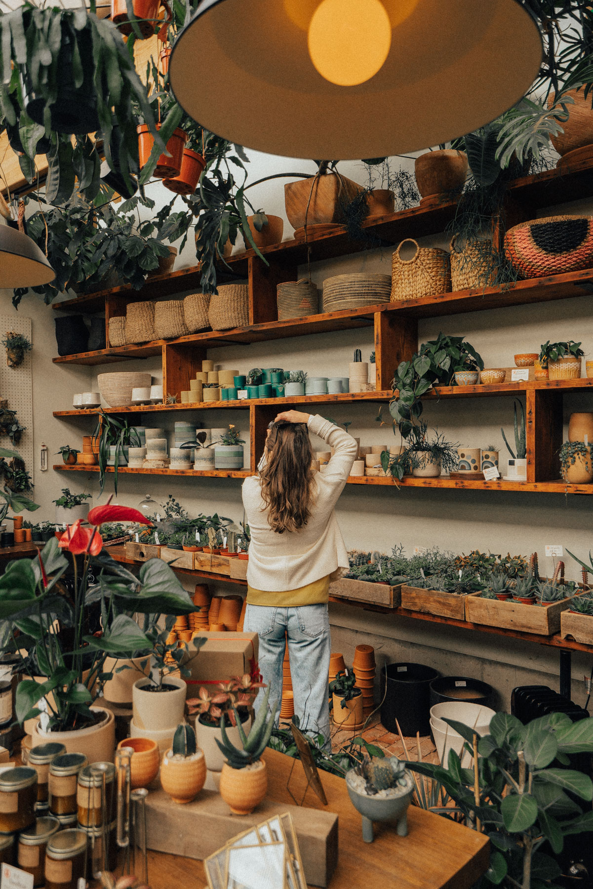 5 CHARMING Portland Plant Shops (Green Thumbs' Guide)