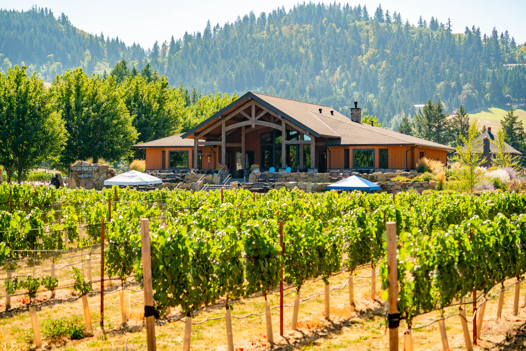 15 CHARMING Hood River Wineries (Guaranteed to Impress)