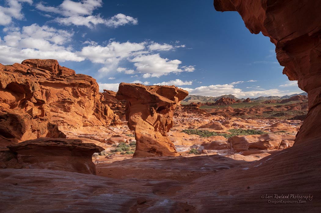 Gold Butte National Monument in Nevada Oregon Exposures