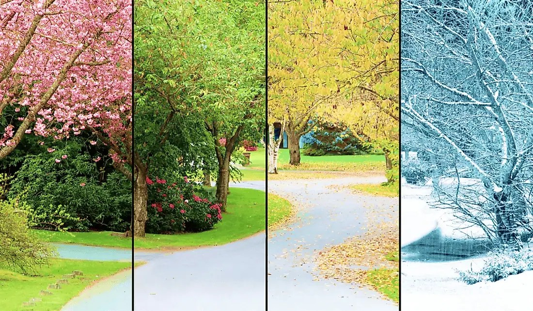 6 Helpful Carpet Repair Tips DIY vs. Professional Help Oregon Floor