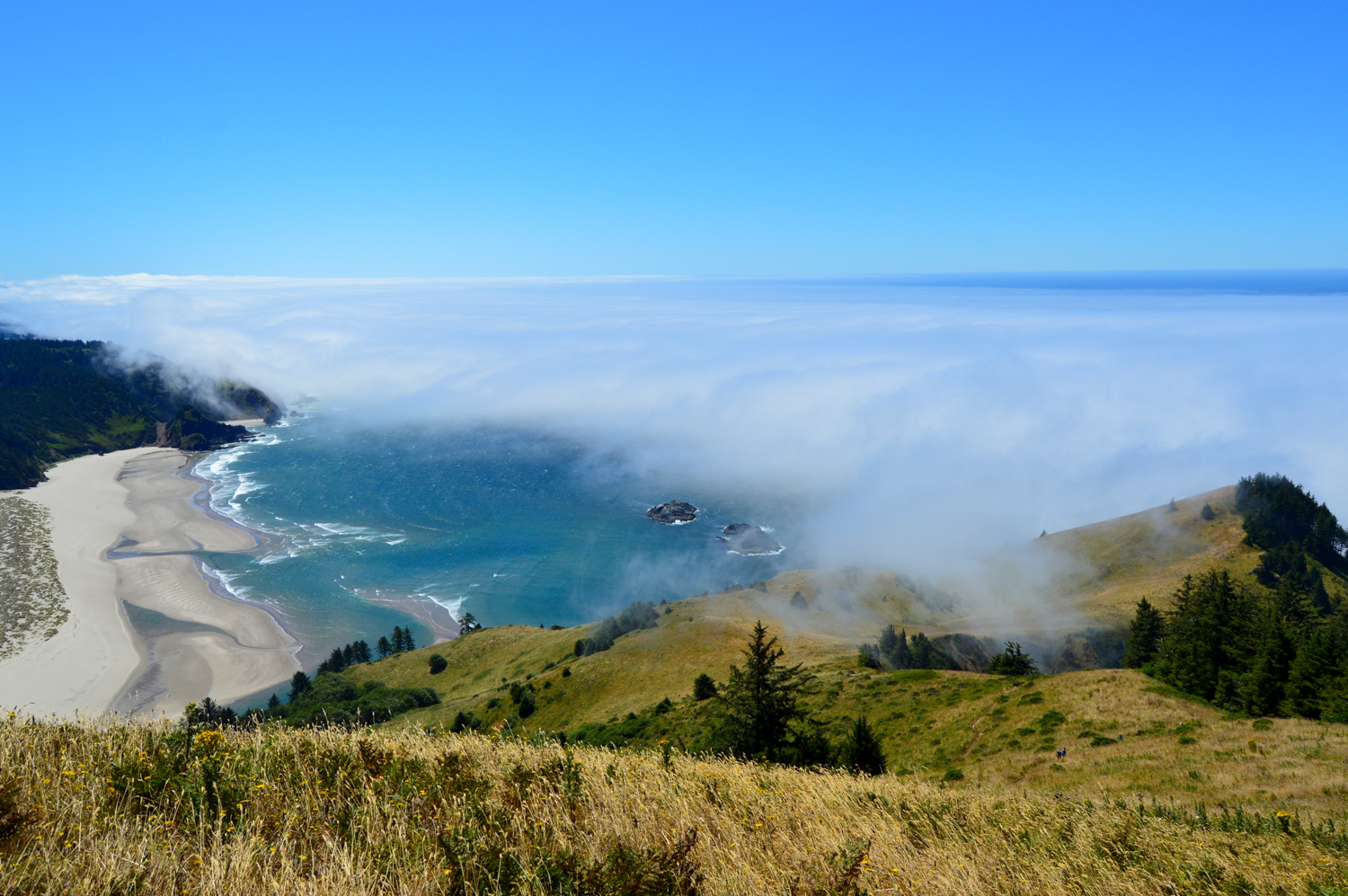 family hikes near lincoln city Oregon Hikes with Kids