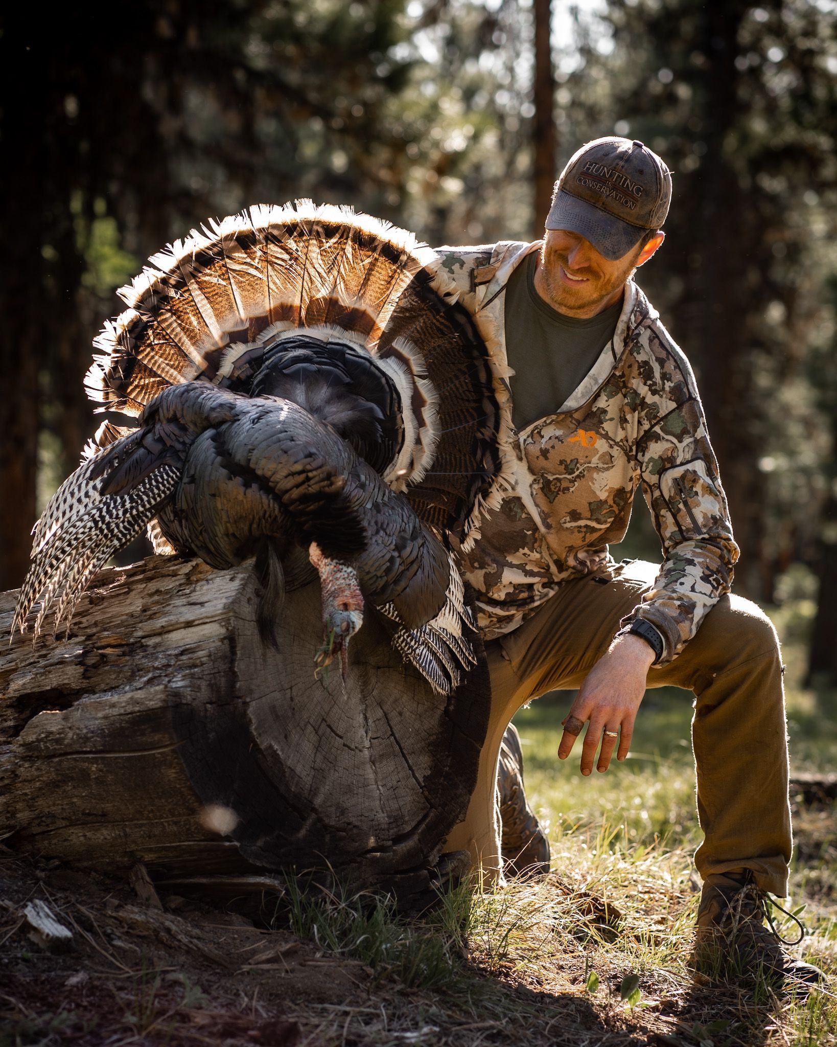 Learn to Turkey Hunt (Beginner Level) Oregon Hunters Association