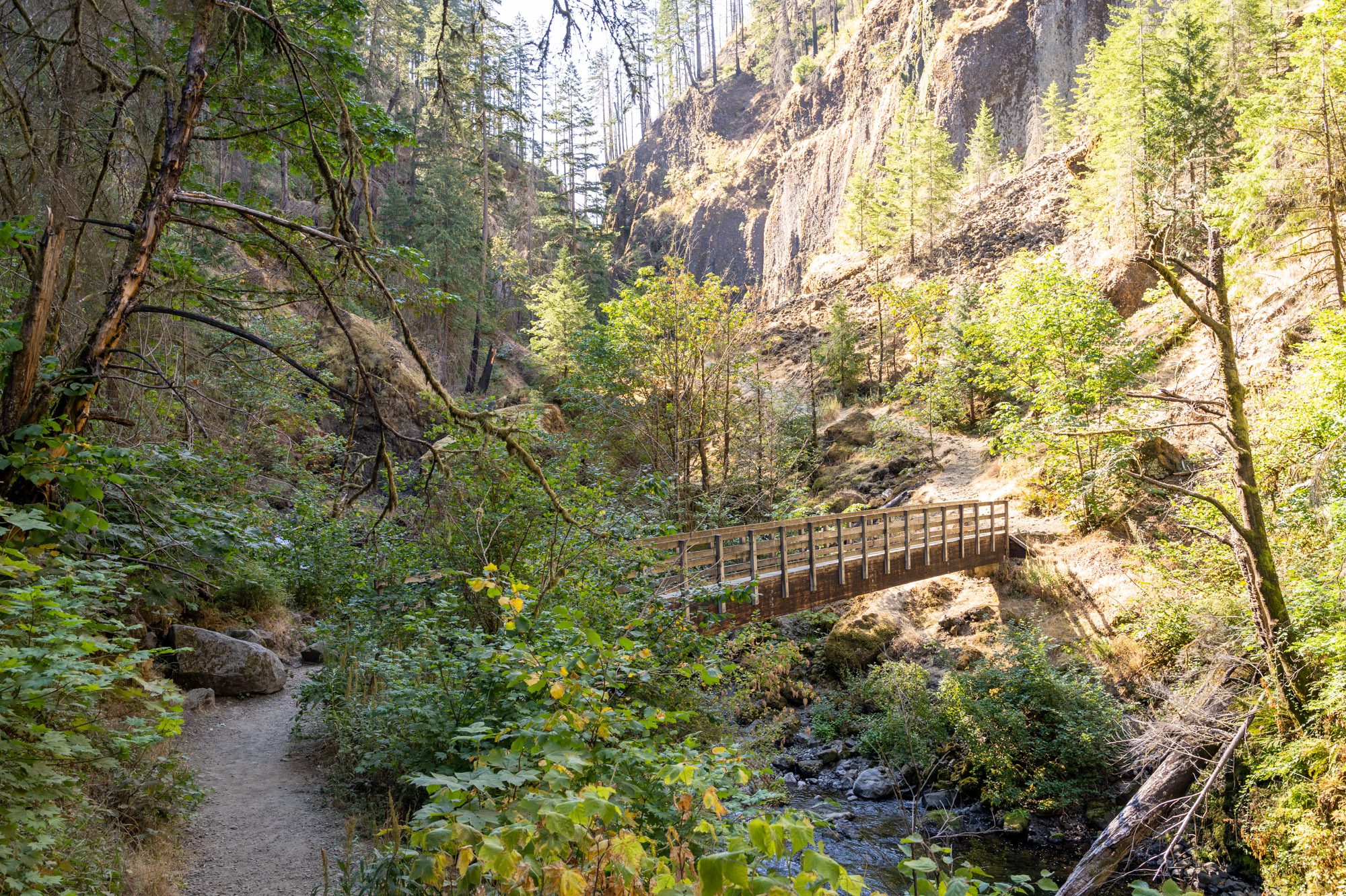 Hiking the Stunning Wahclella Falls Trail What to Expect