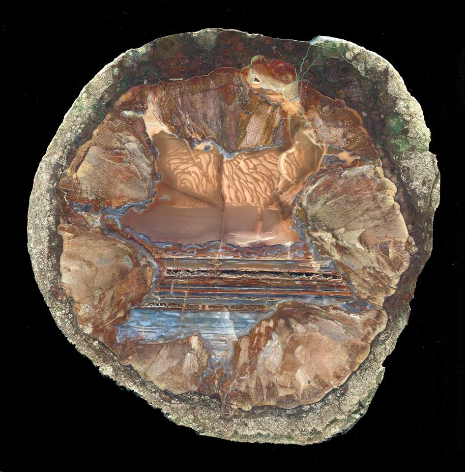 Hinkle's Rock ShopSpecializing in Oregon Thundereggs