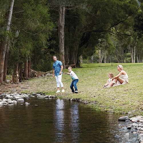 Canungra Valley Vineyards O'Reilly's Rainforest Retreat