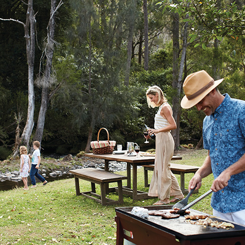 Canungra Valley Vineyards O'Reilly's Rainforest Retreat