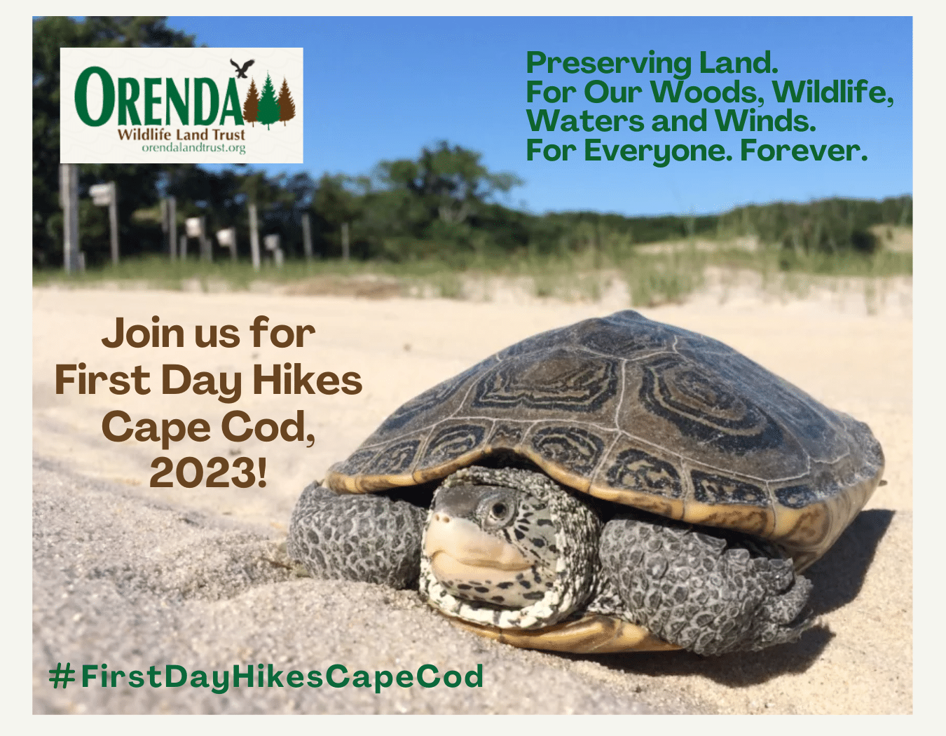 Join Orenda Wildlife Land Trust for First Day Hikes Cape Cod, 2023