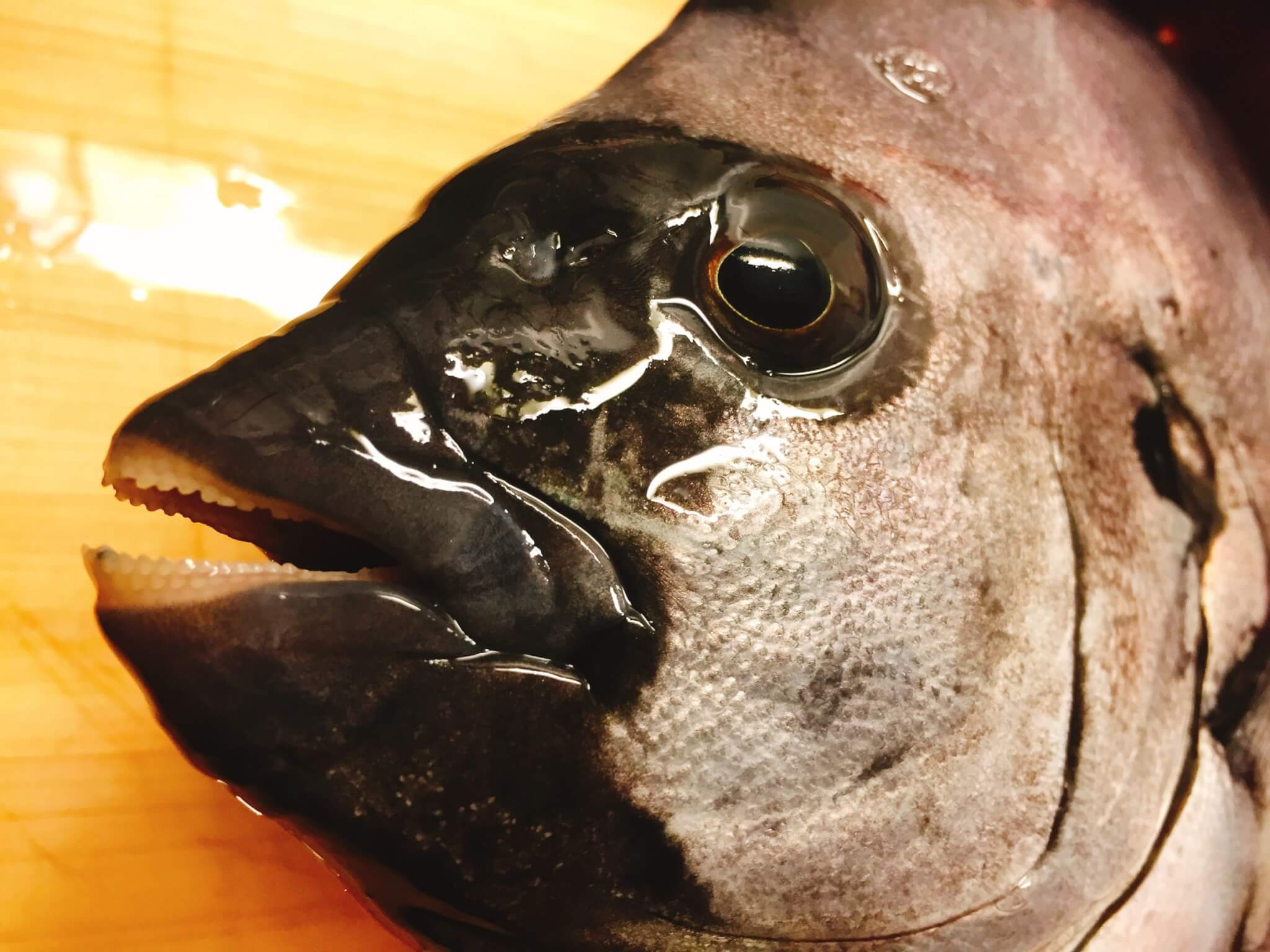 釣りに行くよりも魚を買った方が安くはないですか？（平田が答える） ORETSURI 俺釣