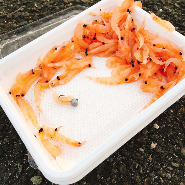 釣り餌 オキアミ ORETSURI 俺釣
