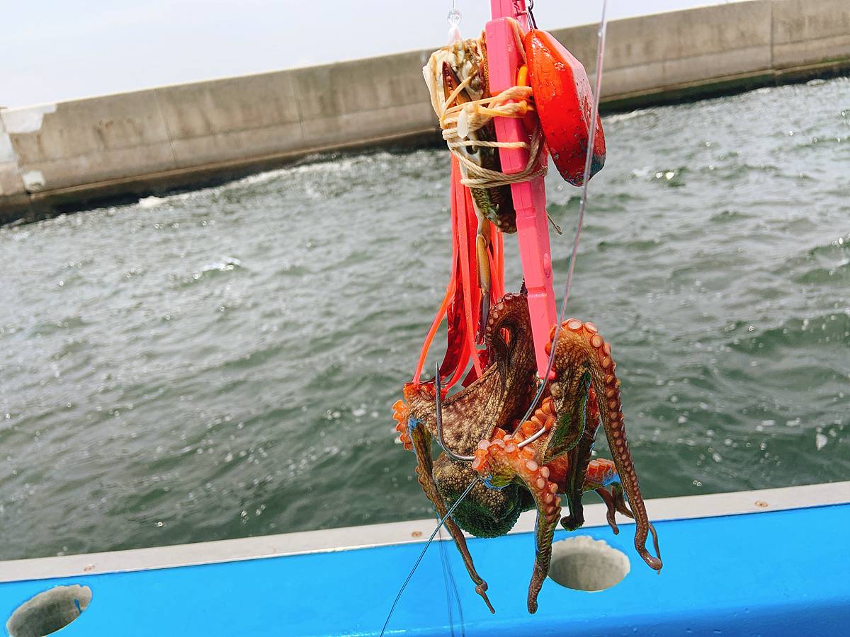 【2020年】東京湾タコ釣り解禁！昨年に続いて釣れるときいてノコノコやってまいりましたが・・・ ORETSURI 俺釣