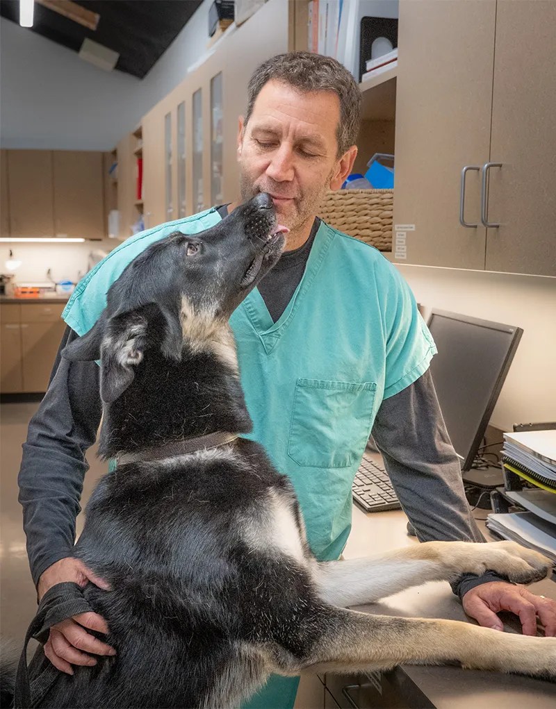 Dr. Alon Kramer, Veterinary Surgeon OREV Specialty Vet Care(04)