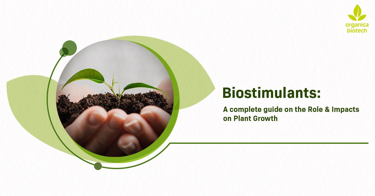 Biostimulants A Complete Guide On The Role & Impacts On Plant Growth