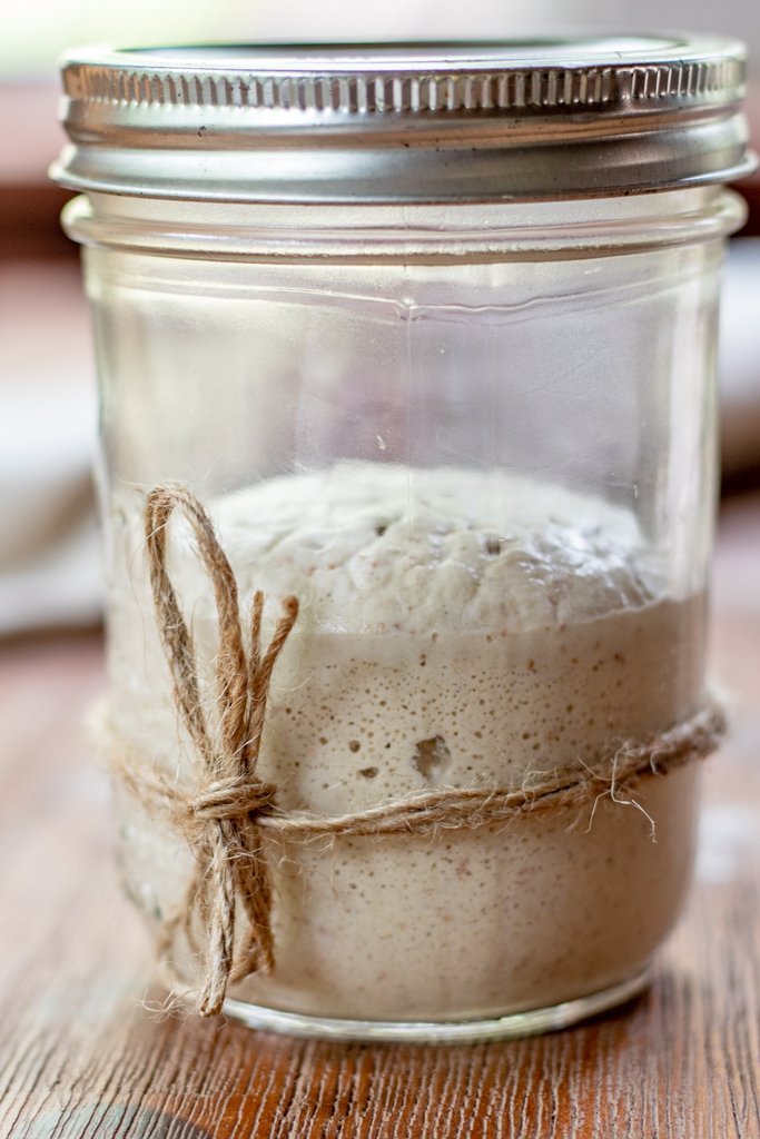 Easy GlutenFree Sourdough Starter Organically Made