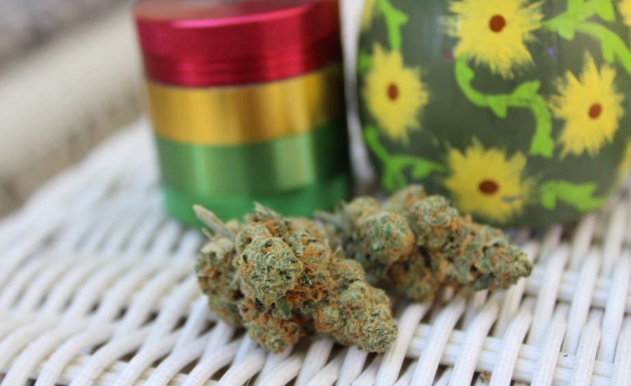 Fort Collins Cannabis Dispensary Organic Alternatives