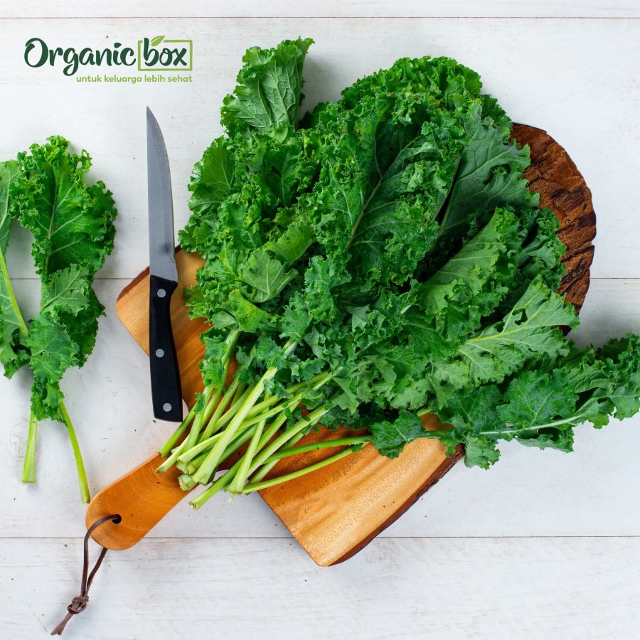 KALE CURLY ORGANIK 250gr Organic Box