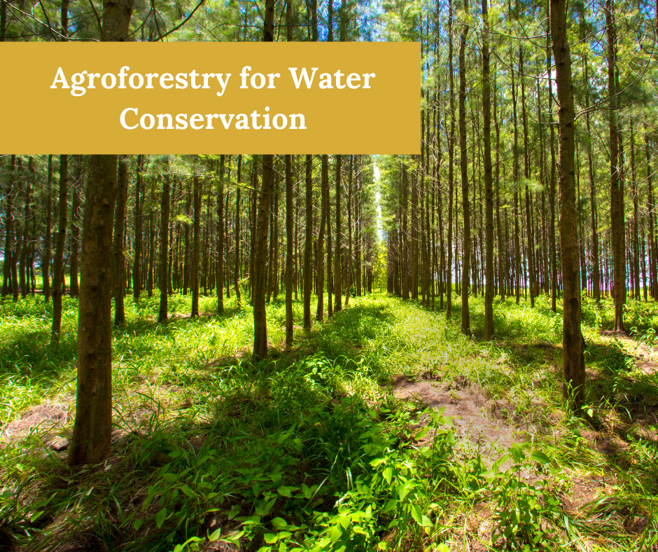 inar Agroforestry for Water Conservation The Organic Council of