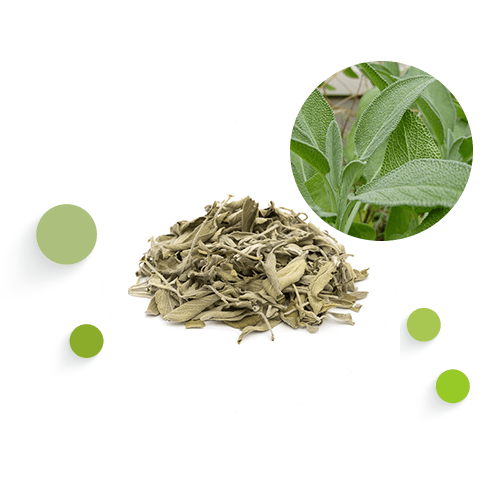 Sage leaves Pure Organic herbs