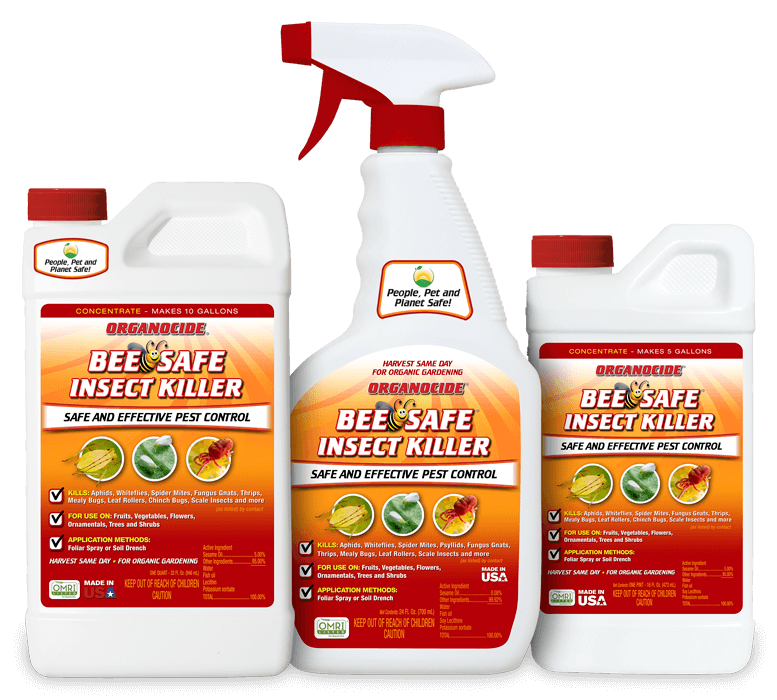 Bee Safe with Organocide Organic Labs®