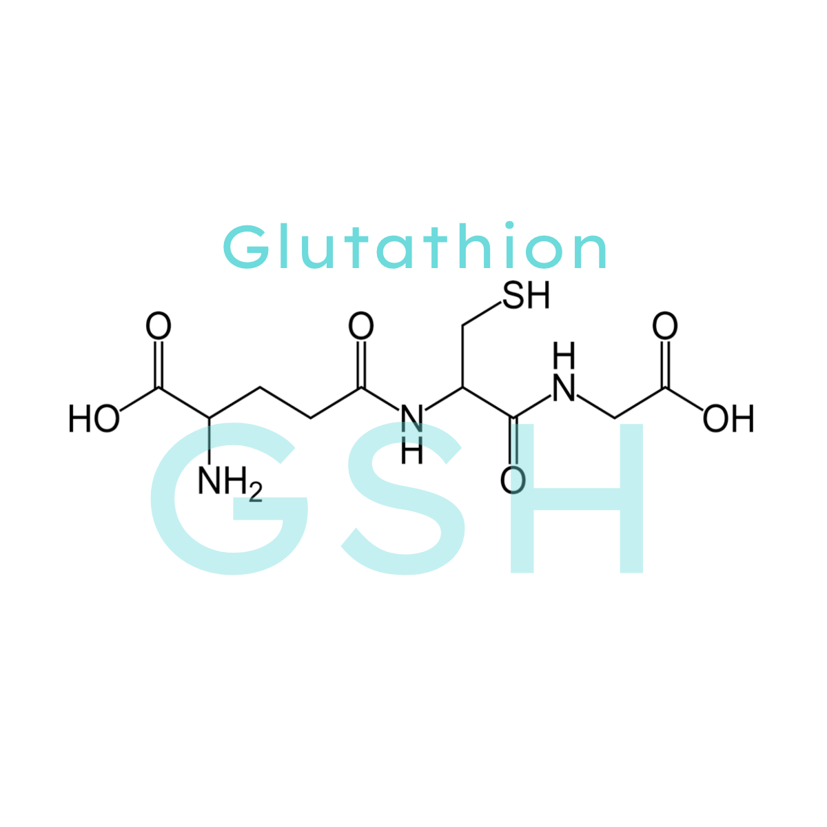 Glutathione the master antioxidant OrganiClinic