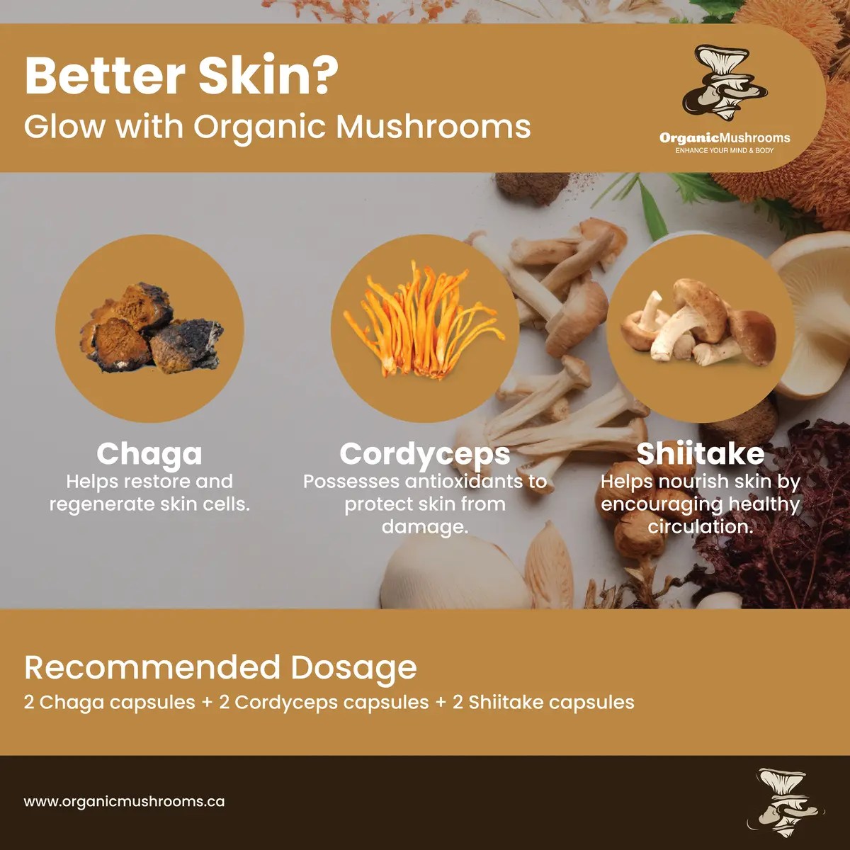 Skin Care Wellness Bundle Organic Mushrooms