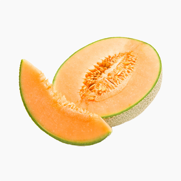 Rock Melon Organico