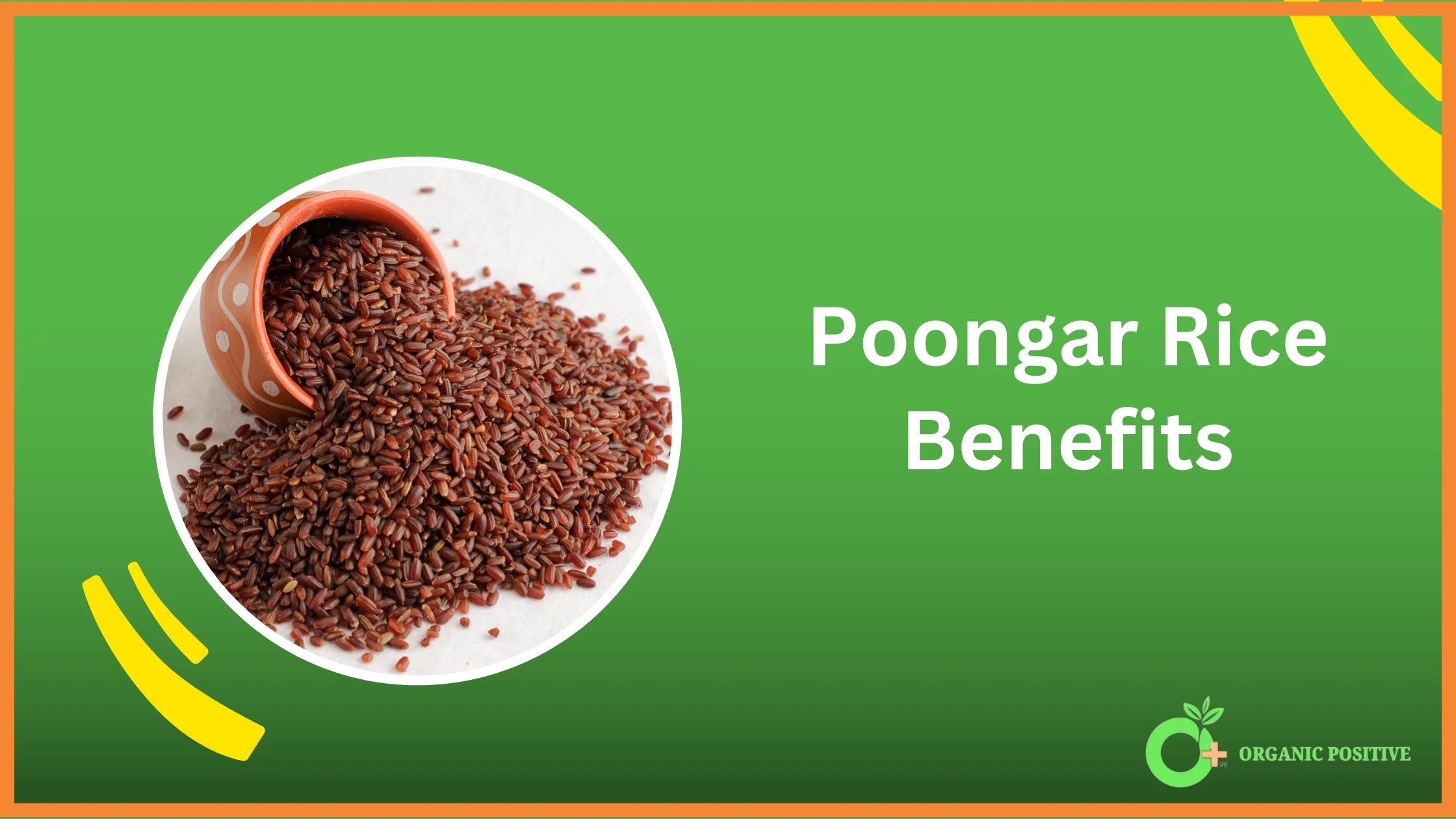 Top 10 Poongar Rice Benefits in 2024