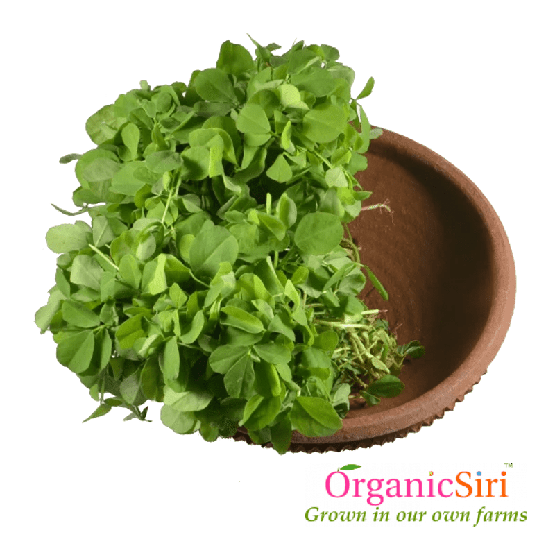 Organic Methi Leaf 2bn OrganicSiri Farms