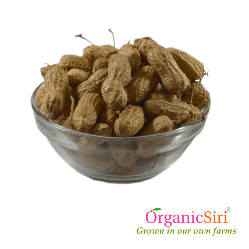 Organic Groundnut Fresh Pods 500g OrganicSiri Organic Farm Food Service