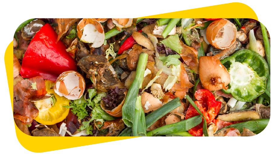 Food Waste to Fertilizer Machine in india & Fully Automatic Food Waste