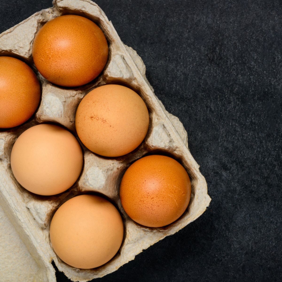 Egg Carton Reuse 20 Clever Ways To Use Old Ones As Storage