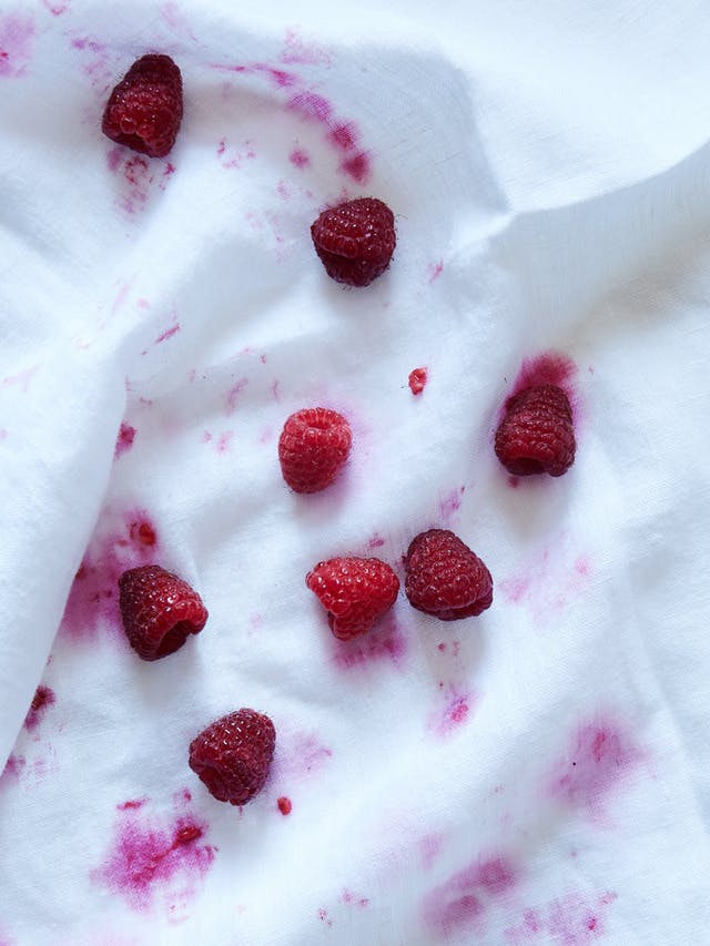 Simple Ways to Remove Any Food Stain from Clothing • Organization Junkie