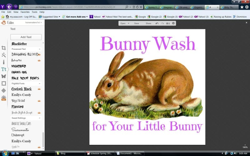 Easy DIY Easter Bunny Wash Organized 31