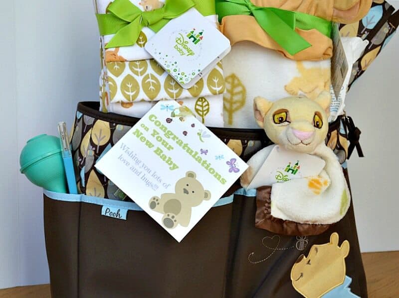 Donate a New Baby Gift Bag Checklist Organized 31