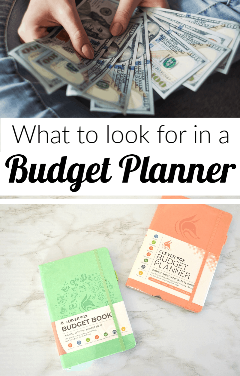 Best Budget Planner Organized 31