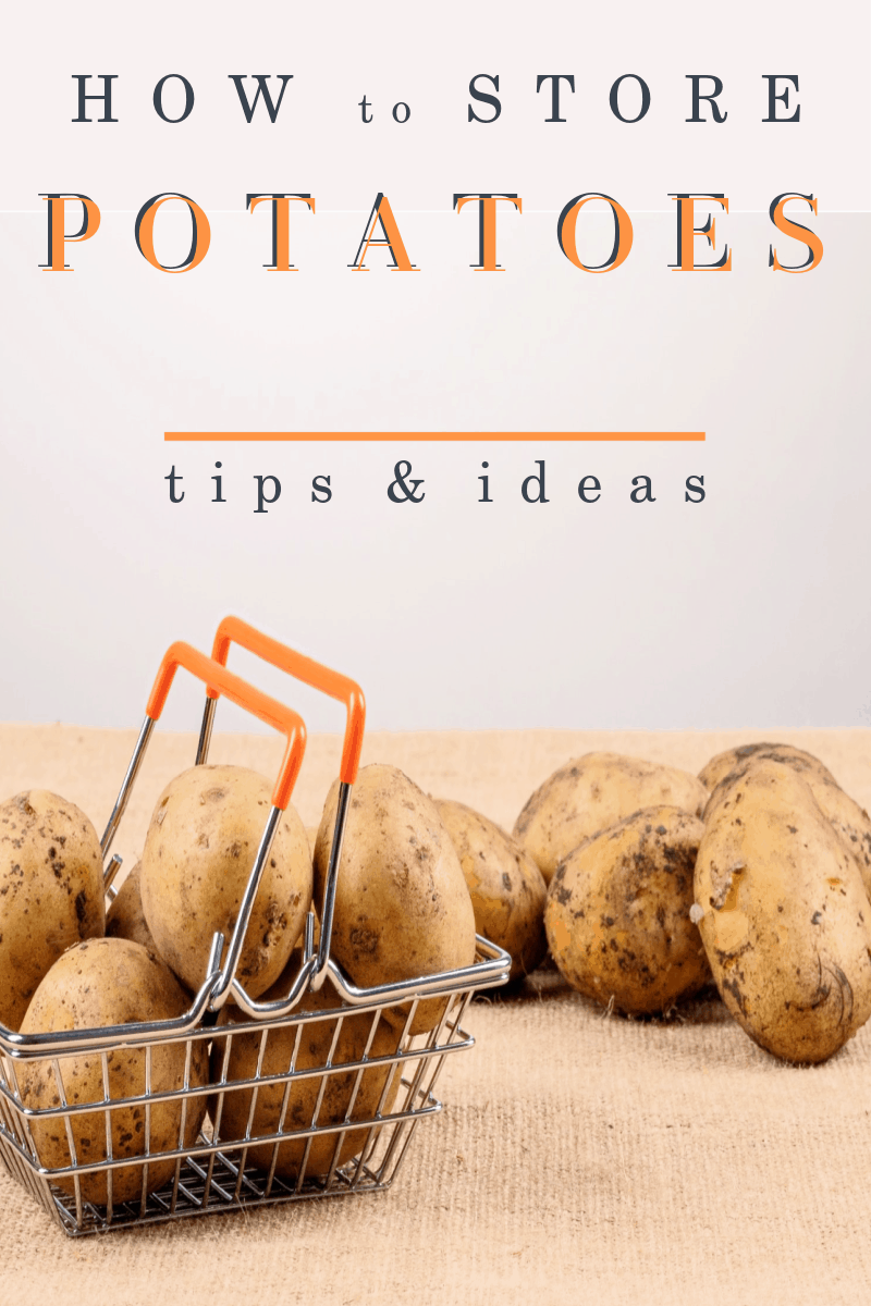 How to Store Potatoes Ideas & Tips Organized 31