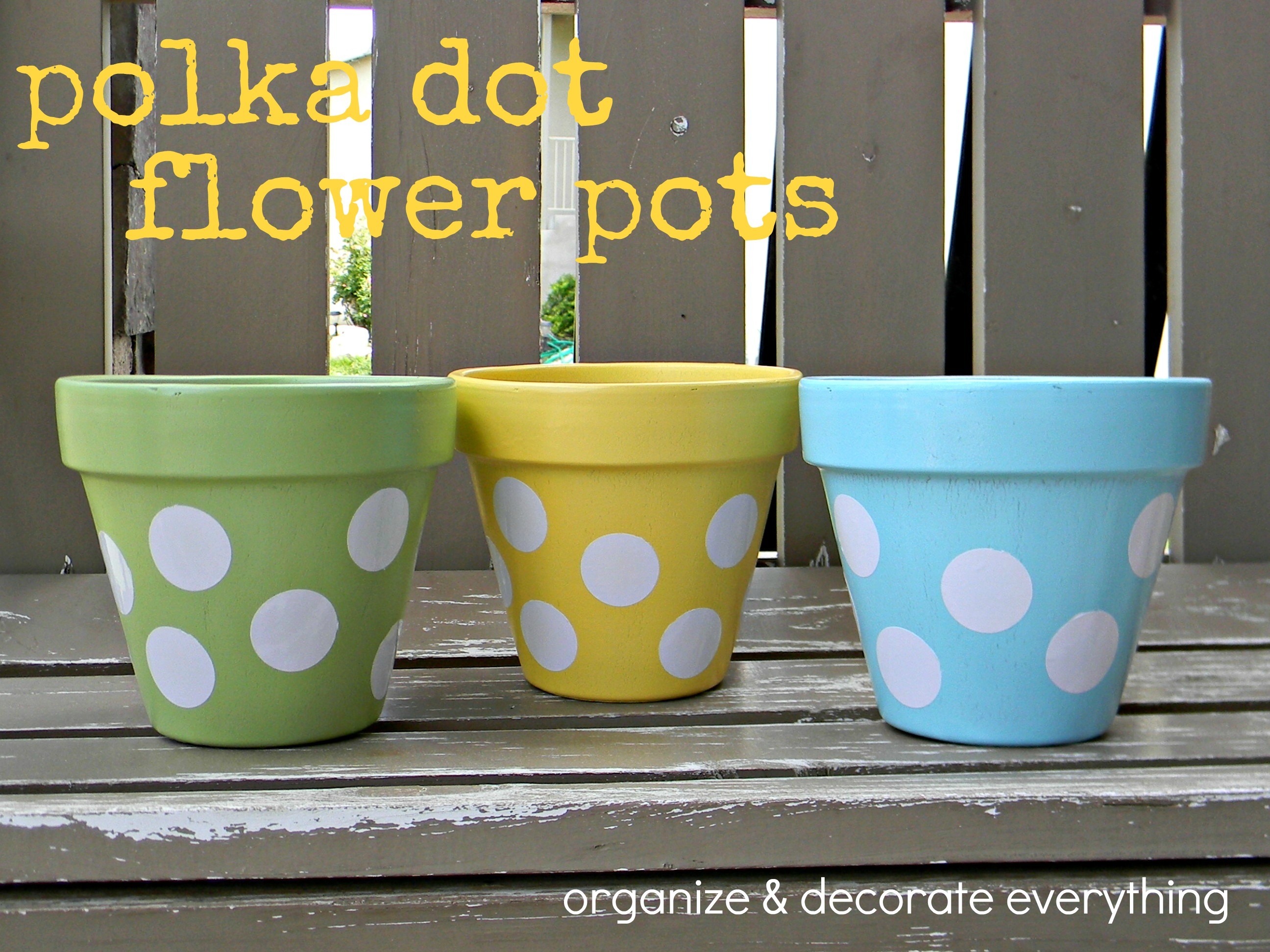 Polka Dot Flower Pots Organize and Decorate Everything